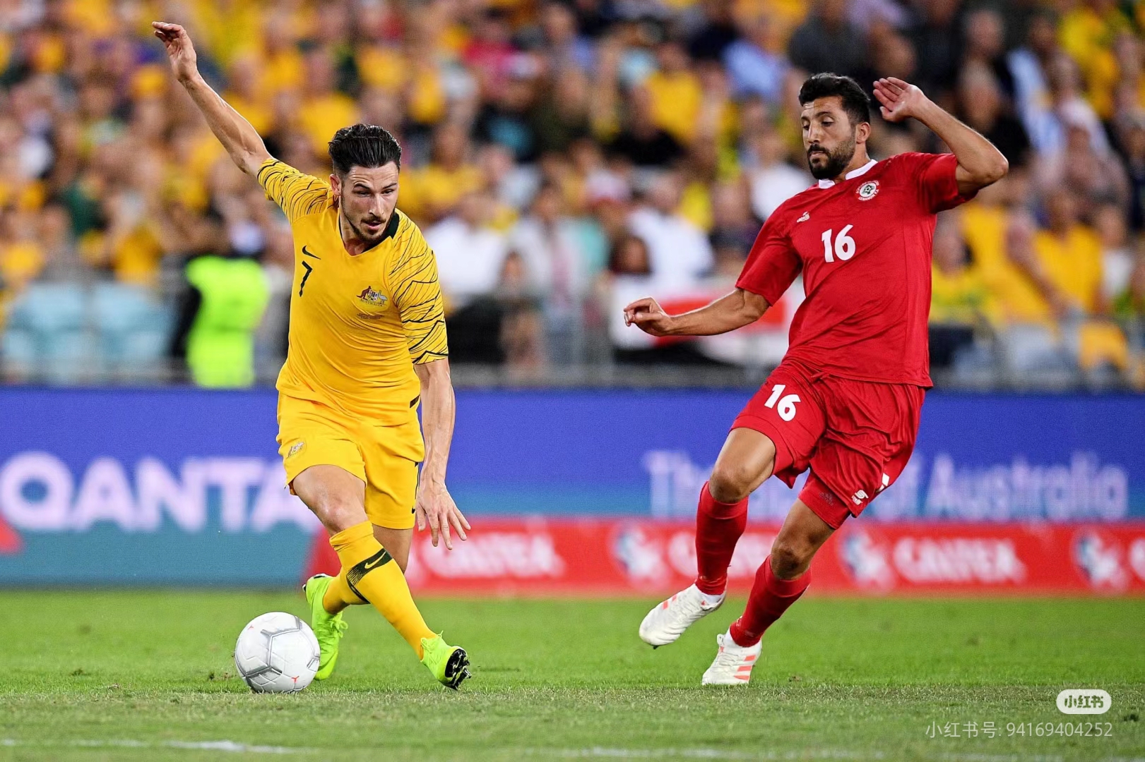 莱万多夫斯基在澳大利亚队比赛中连败，问鼎冠军引发热议！